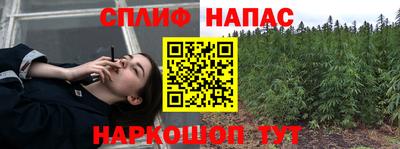 сатива Братск