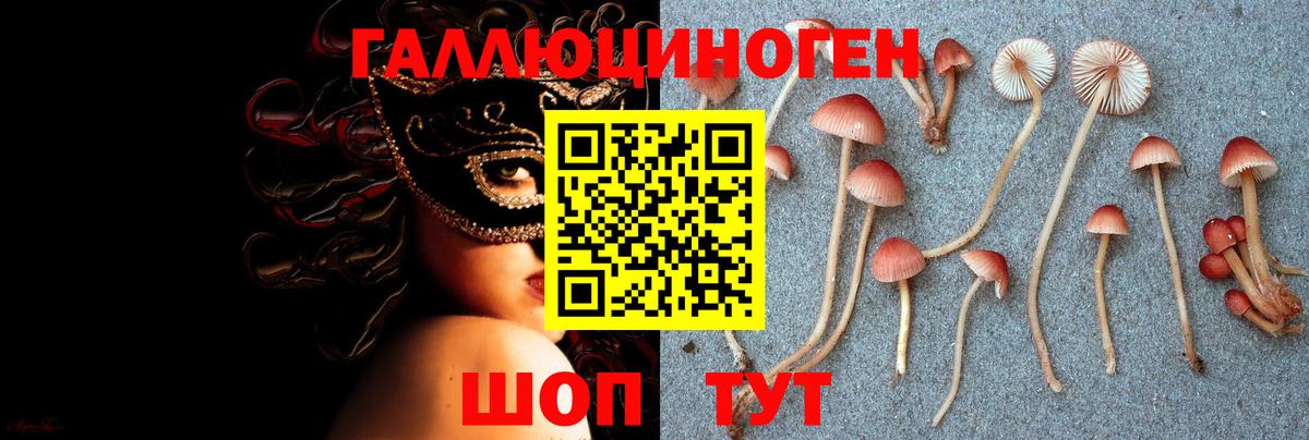 Галлюциногенные грибы GOLDEN TEACHER Барнаул