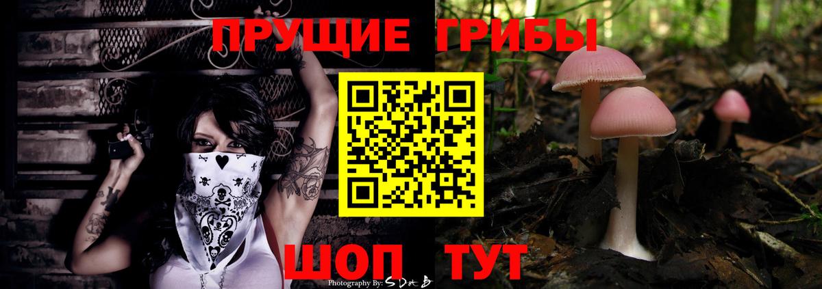 Барнаул  Галлюциногенные грибы ЛСД  Вход с VPN 